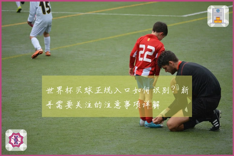 世界杯买球正规入口如何识别？新手需要关注的注意事项详解
