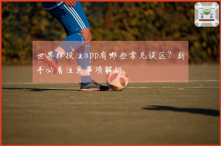 世界杯投注app有哪些常见误区？新手必看注意事项解析
