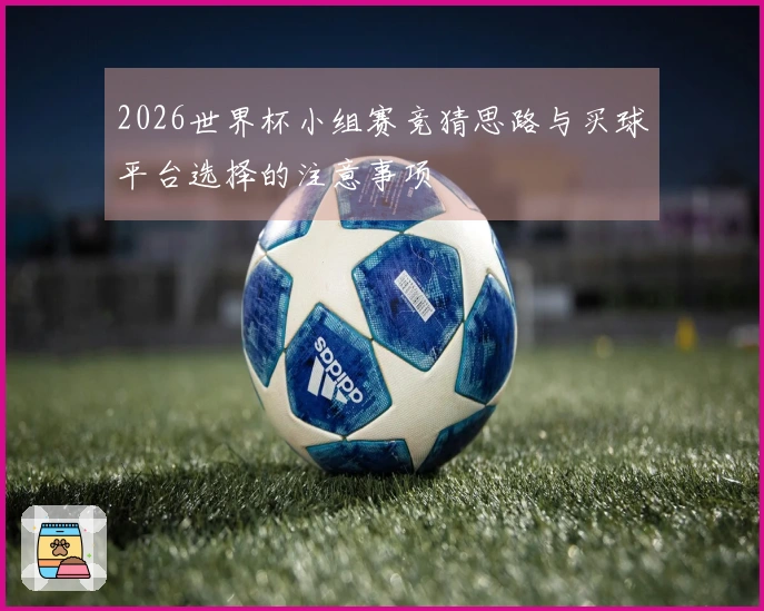 2026世界杯小组赛竞猜思路与买球平台选择的注意事项