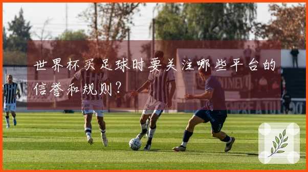 世界杯买足球时要关注哪些平台的信誉和规则？