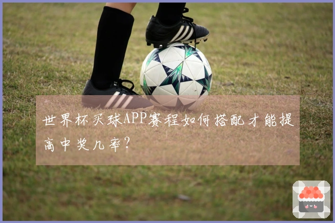 世界杯买球APP赛程如何搭配才能提高中奖几率？
