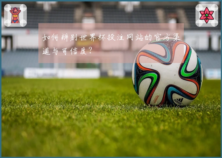 如何辨别世界杯投注网站的官方渠道与可信度？