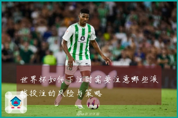 世界杯如何下注时需要注意哪些滚球投注的风险与策略