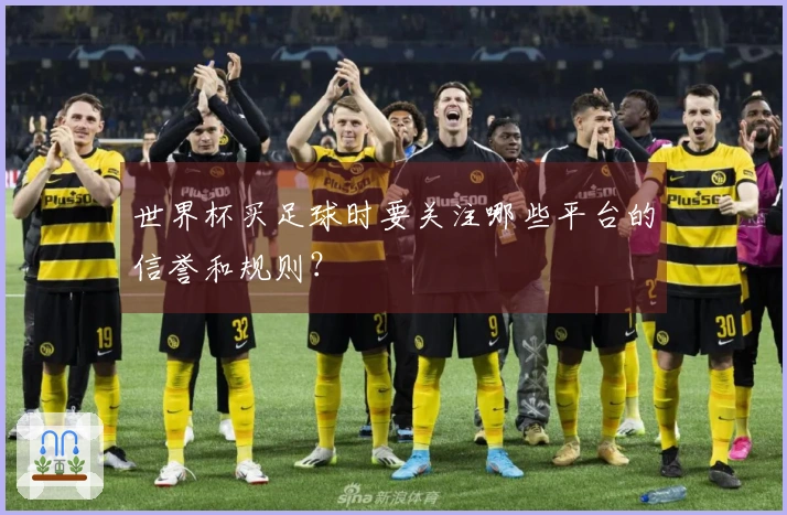 世界杯买足球时要关注哪些平台的信誉和规则？