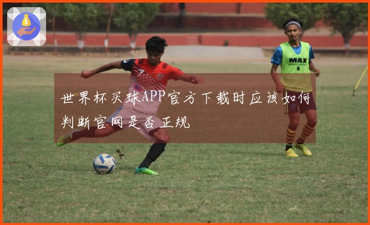世界杯买球APP官方下载时应该如何判断官网是否正规