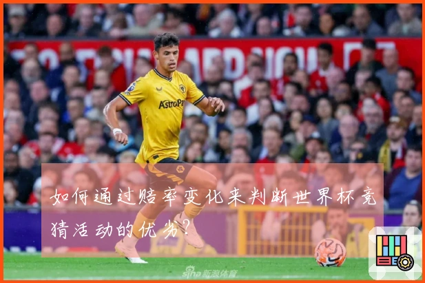 如何通过赔率变化来判断世界杯竞猜活动的优劣？