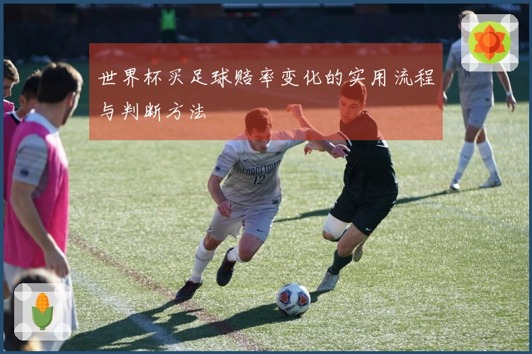 世界杯买足球赔率变化的实用流程与判断方法