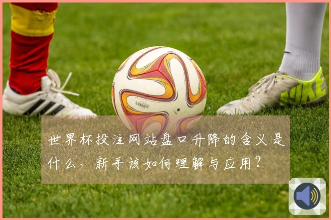 世界杯投注网站盘口升降的含义是什么，新手该如何理解与应用？