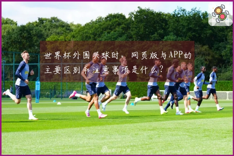世界杯外围买球时，网页版与APP的主要区别和注意事项是什么？