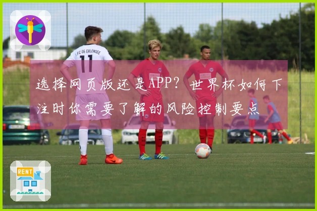 选择网页版还是APP?世界杯如何下注时你需要了解的风险控制要点
