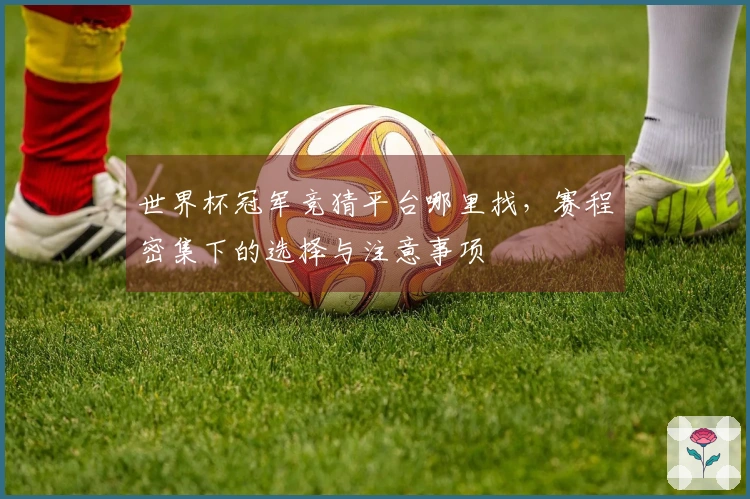 世界杯冠军竞猜平台哪里找，赛程密集下的选择与注意事项