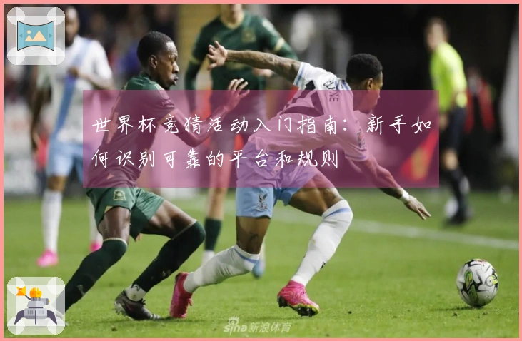 世界杯竞猜活动入门指南：新手如何识别可靠的平台和规则