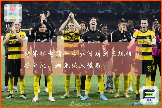 世界杯竞猜平台如何辨别正规性与安全性，避免误入骗局