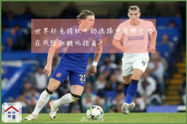 世界杯竞猜软件的选择中有哪些潜在风险和避坑指南？