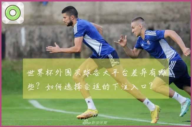 世界杯外围买球各大平台差异有哪些？如何选择合适的下注入口？