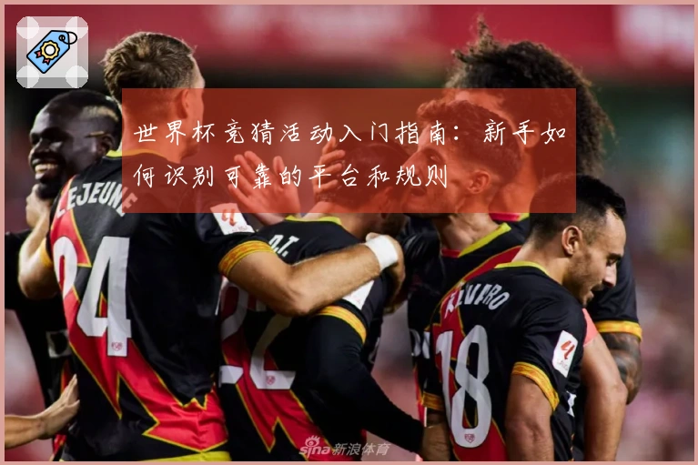 世界杯竞猜活动入门指南：新手如何识别可靠的平台和规则