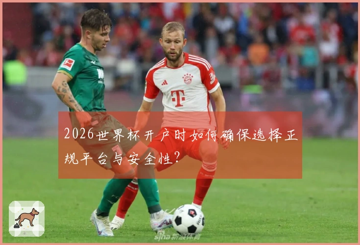 2026世界杯开户时如何确保选择正规平台与安全性？