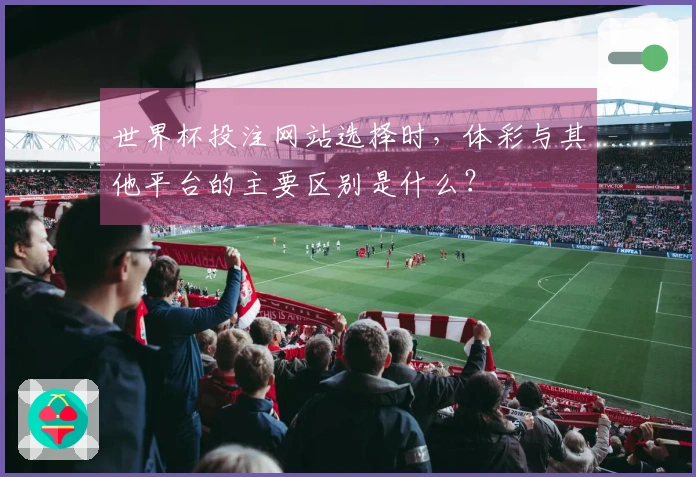 世界杯投注网站选择时，体彩与其他平台的主要区别是什么？