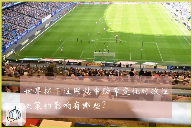 世界杯下注网站中赔率变化对投注决策的影响有哪些？