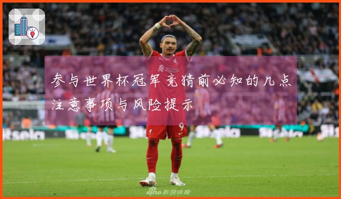 参与世界杯冠军竞猜前必知的几点注意事项与风险提示