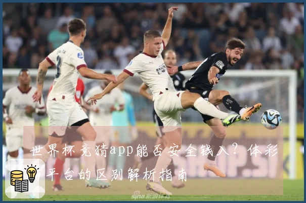 世界杯竞猜app能否安全钱入？体彩与平台的区别解析指南